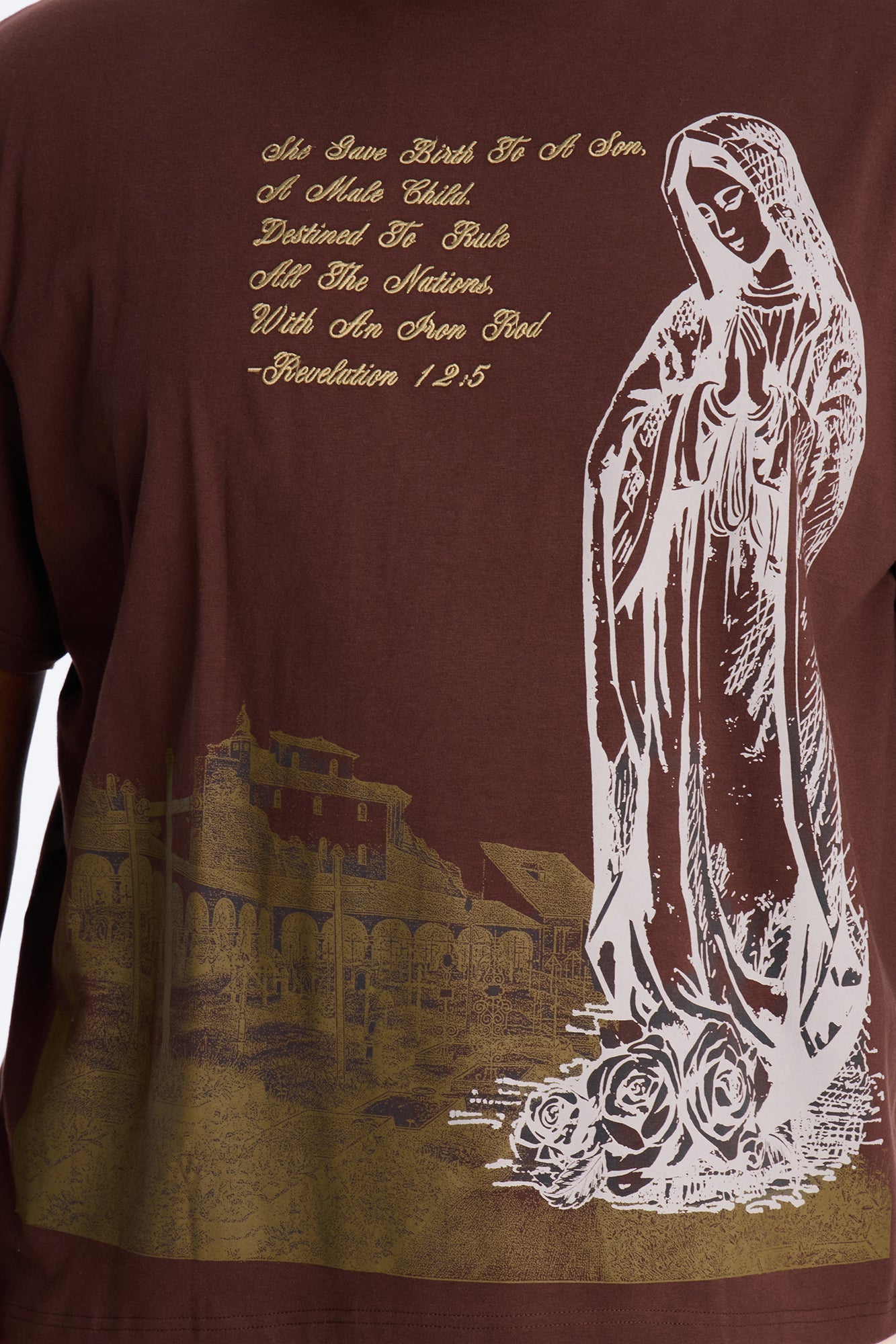 Always Believe Embroidered Short Sleeve Fleece Tee - Brown