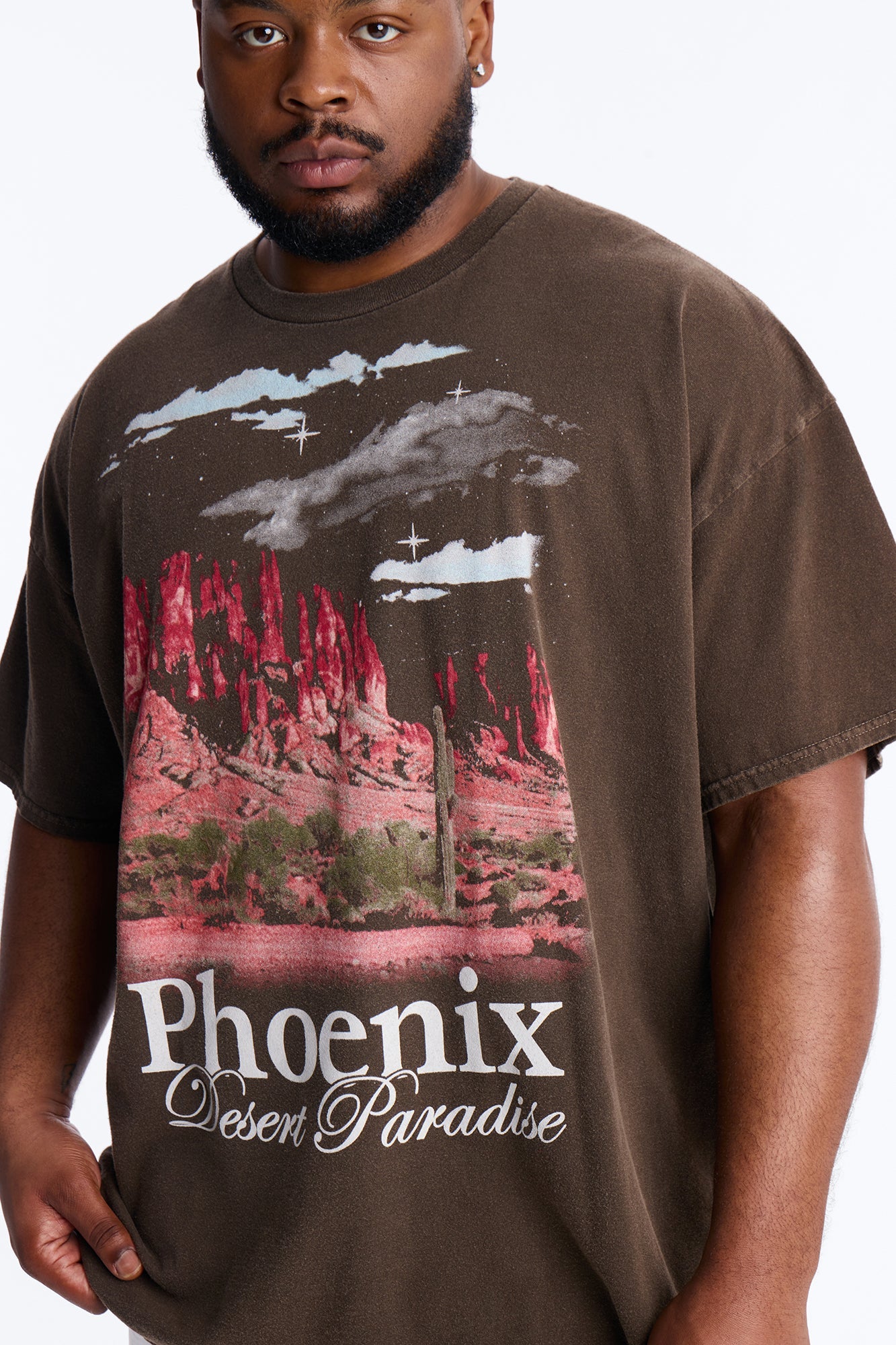 Phoenix Desert Paradise Oversized Short Sleeve Tee - Chocolate